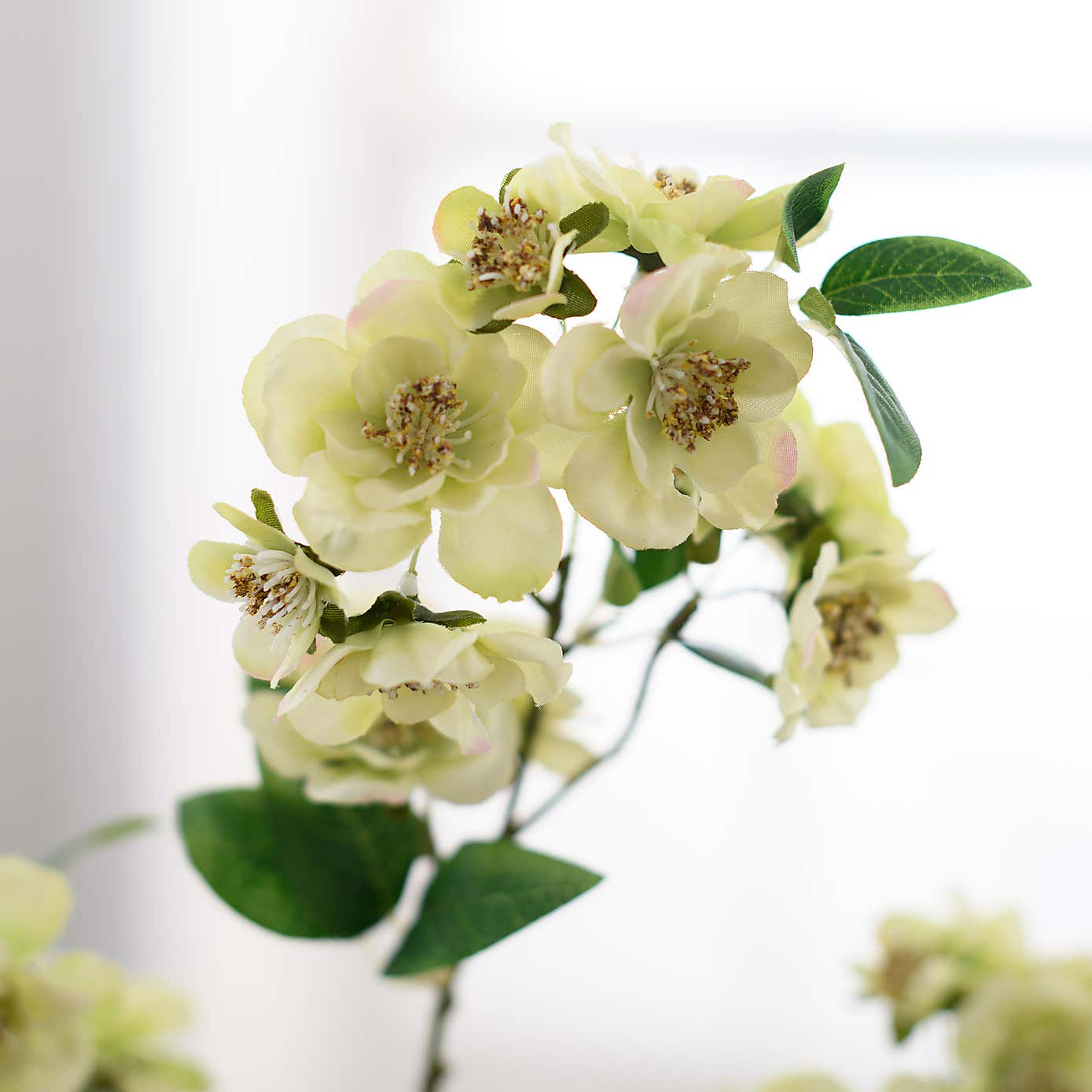 Carousel zoom image position 3 of 4