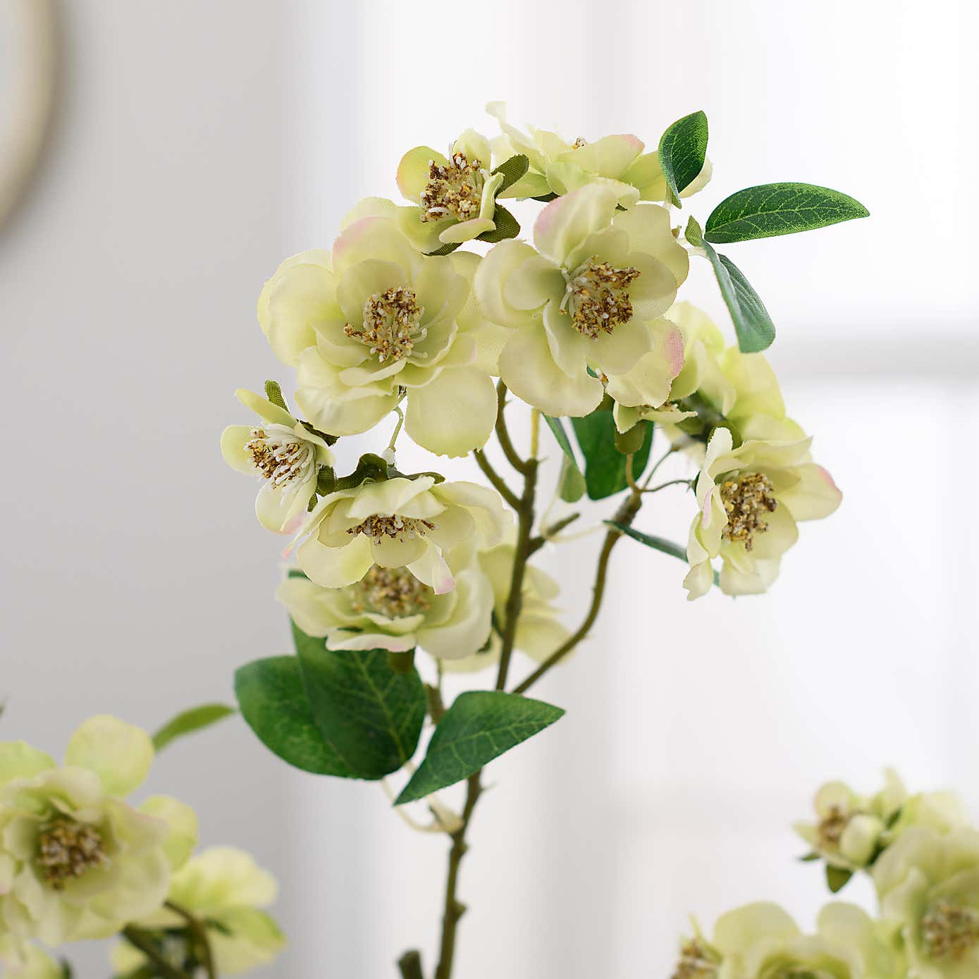 Carousel zoom image position 4 of 4