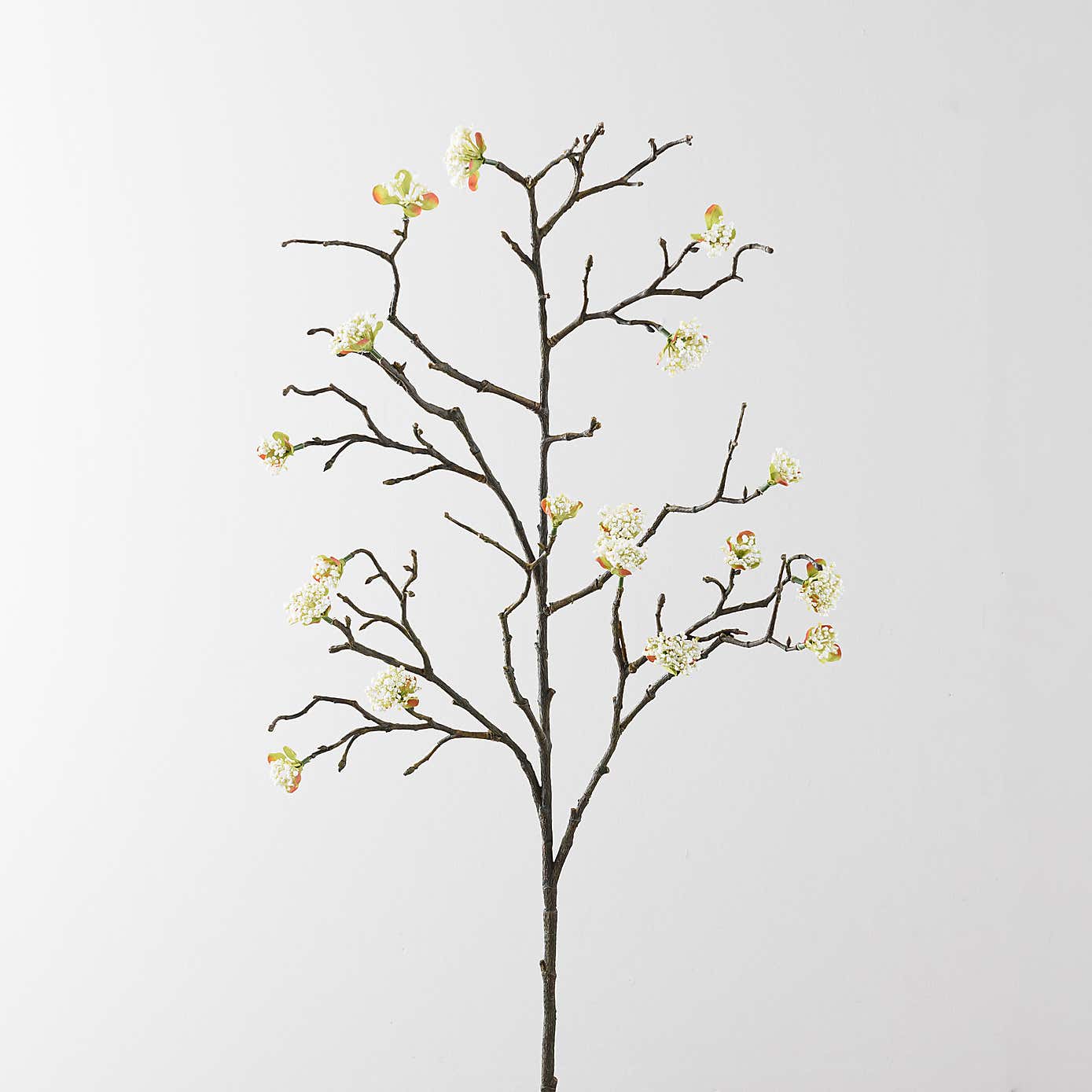 Carousel zoom image position 2 of 6