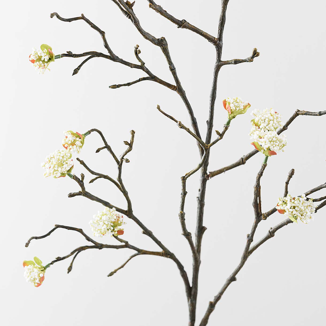 Carousel zoom image position 3 of 6