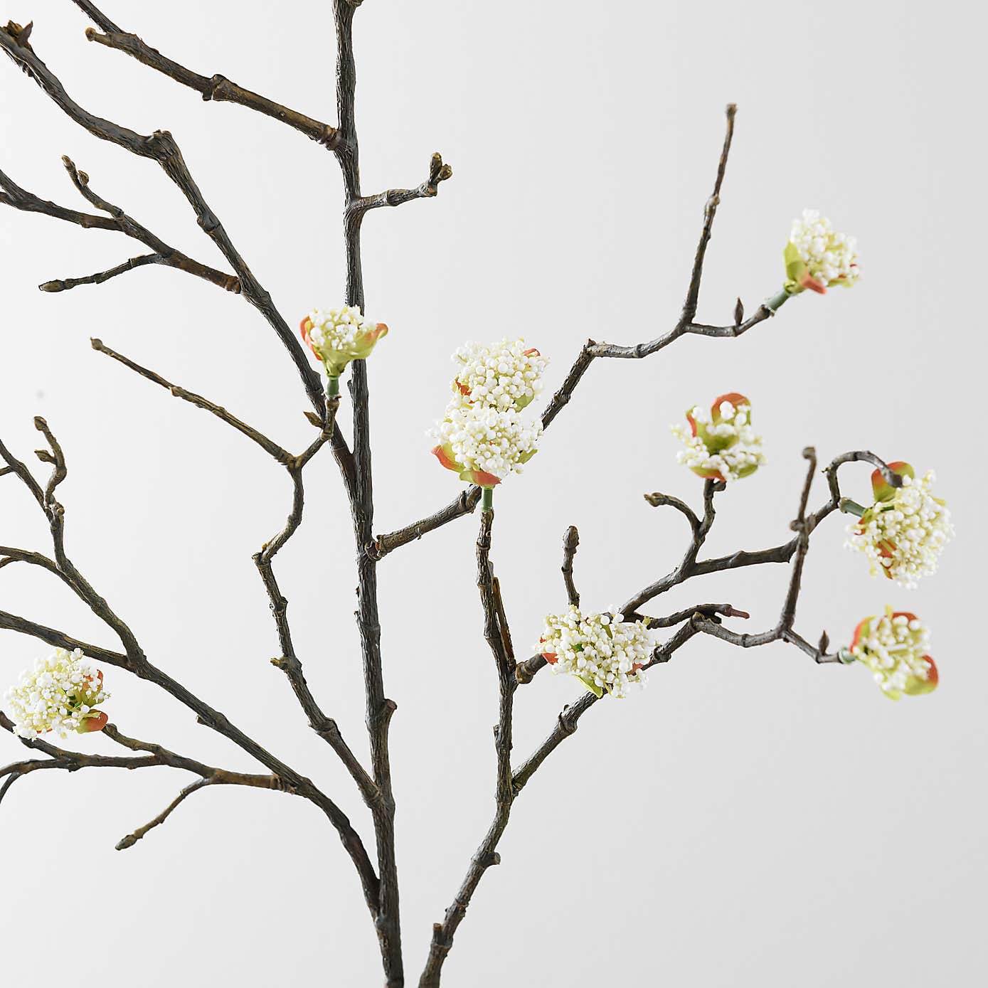 Carousel zoom image position 4 of 6