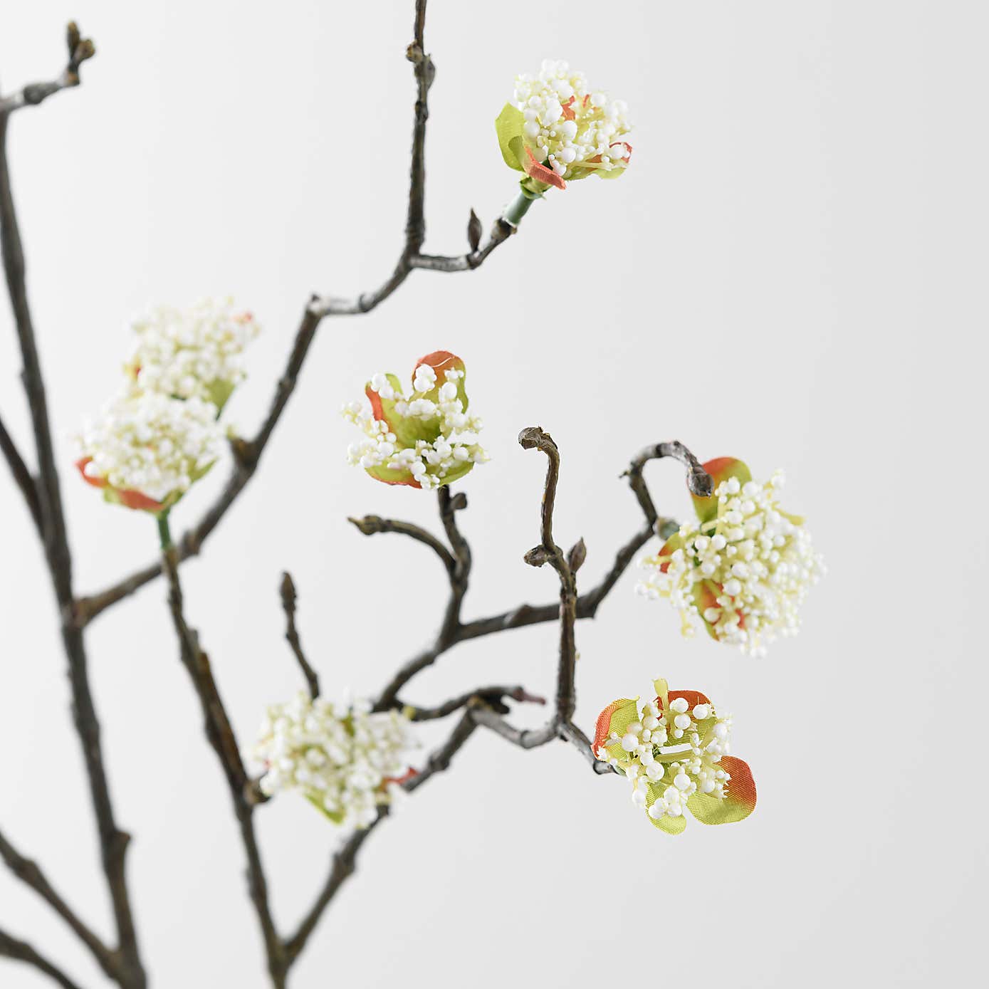 Carousel zoom image position 5 of 6