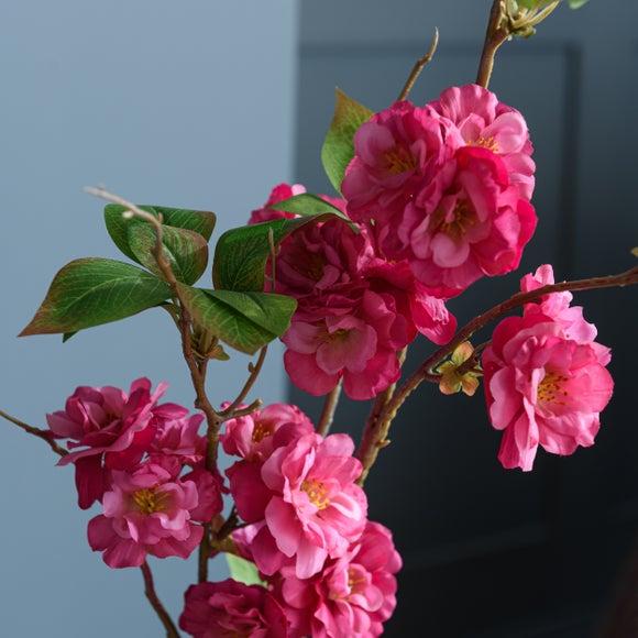 Carousel navigation image position 3 of 5