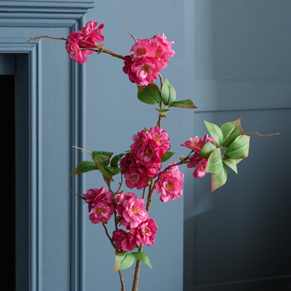 Carousel navigation image position 5 of 5