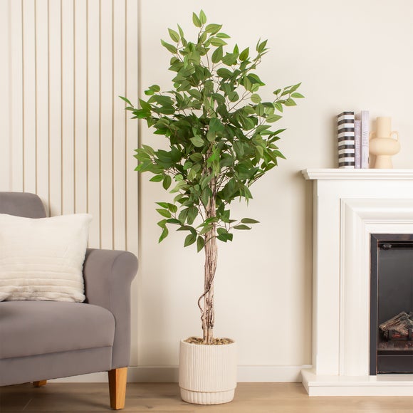 Click to view product details and reviews for Artificial Ficus Tree In Cream Ribbed Cement Plant Pot.