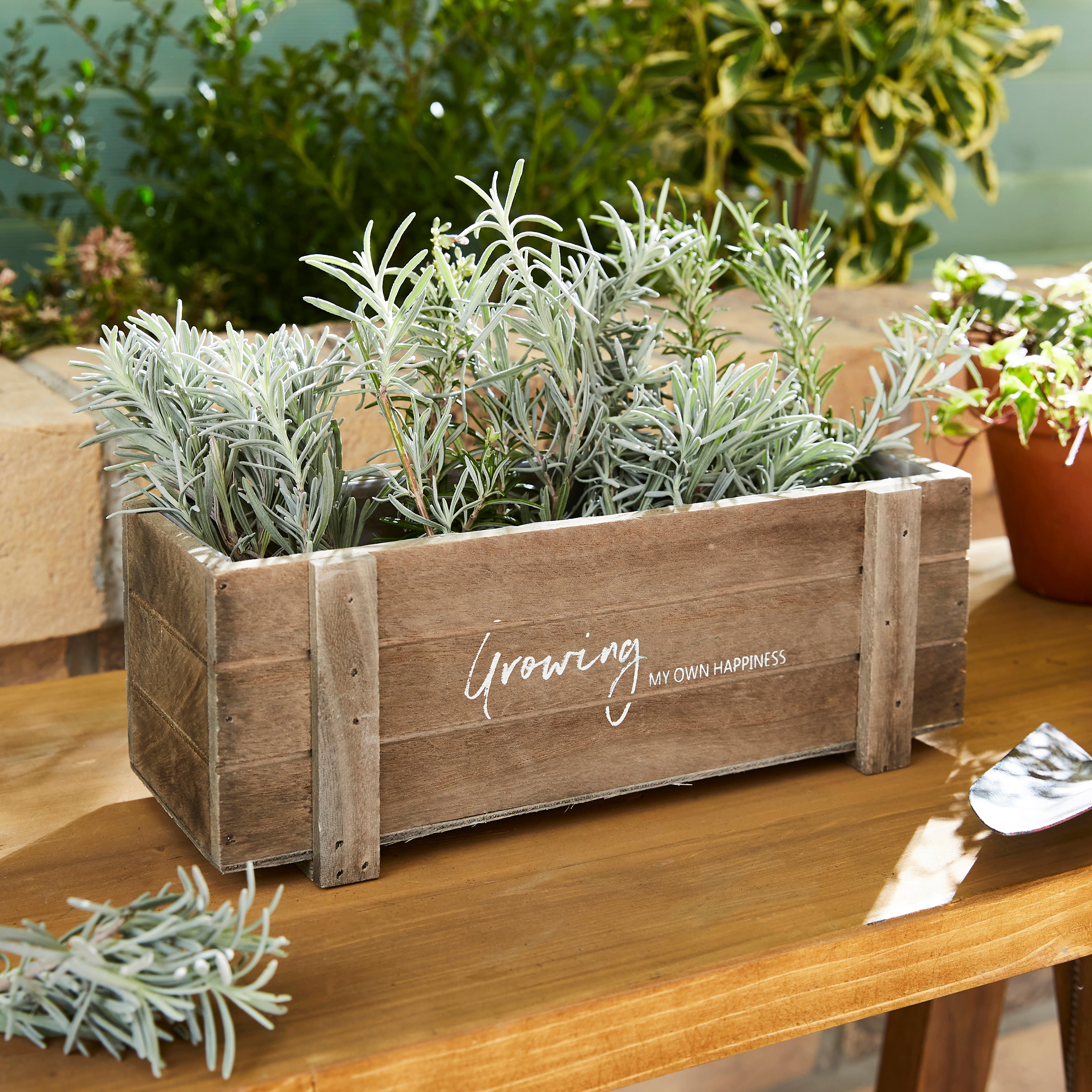 Taylors Bulbs Wooden Tray Planter With Herbs Kit Natural