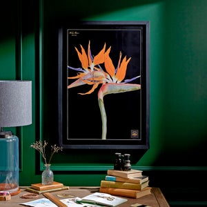 Bird Of Paradise Framed Print