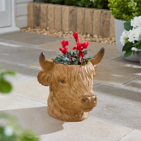 Highland Cow Head Plant Pot
