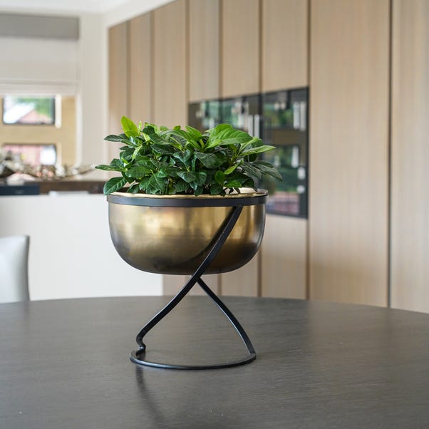 Kengsington Wide Brass Metal Round Plant Pot With Stand image 1 of 5