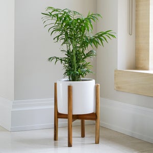 Anzio Plant Pot With Stand