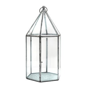 Glass House Terrarium