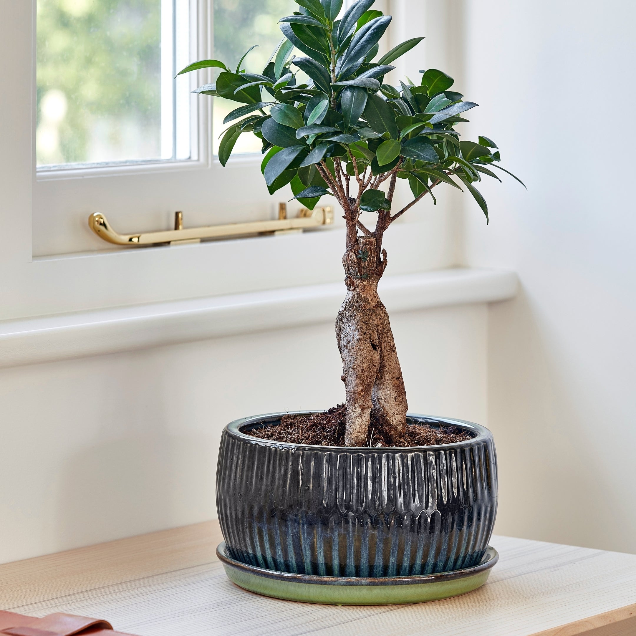Set Of 2 Round Reactive Glaze Bonsai Plant Pots Emerald