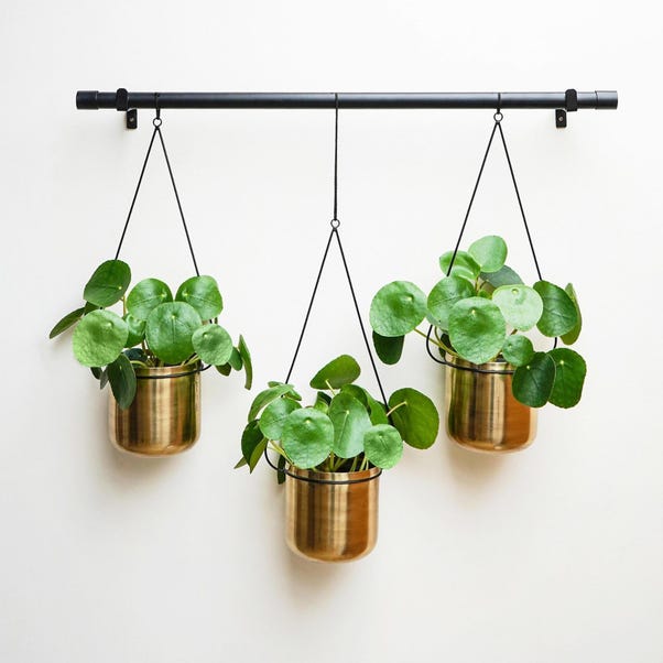 Set of 3 Linear Hanging Plant Pots image 1 of 5