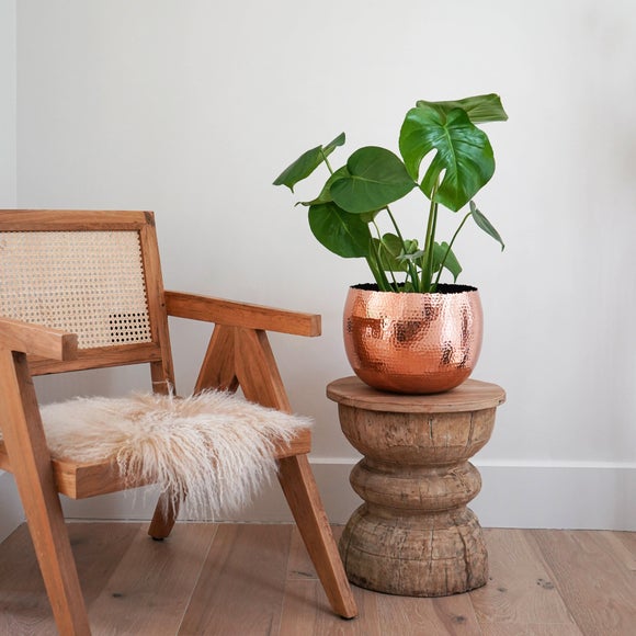 View Hammered Bowl Plant Pot View Hammered Bowl Plant Pot