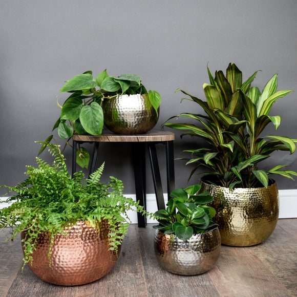 Carousel navigation image position 6 of 7