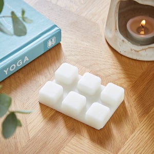 Set Of 6 Vanilla And Sandalwood Wax Melts