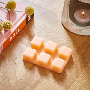 Set Of 6 Mango And Orchid Wax Melts