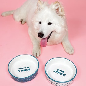 Set of 2 Hearts Ceramic Pet Bowls