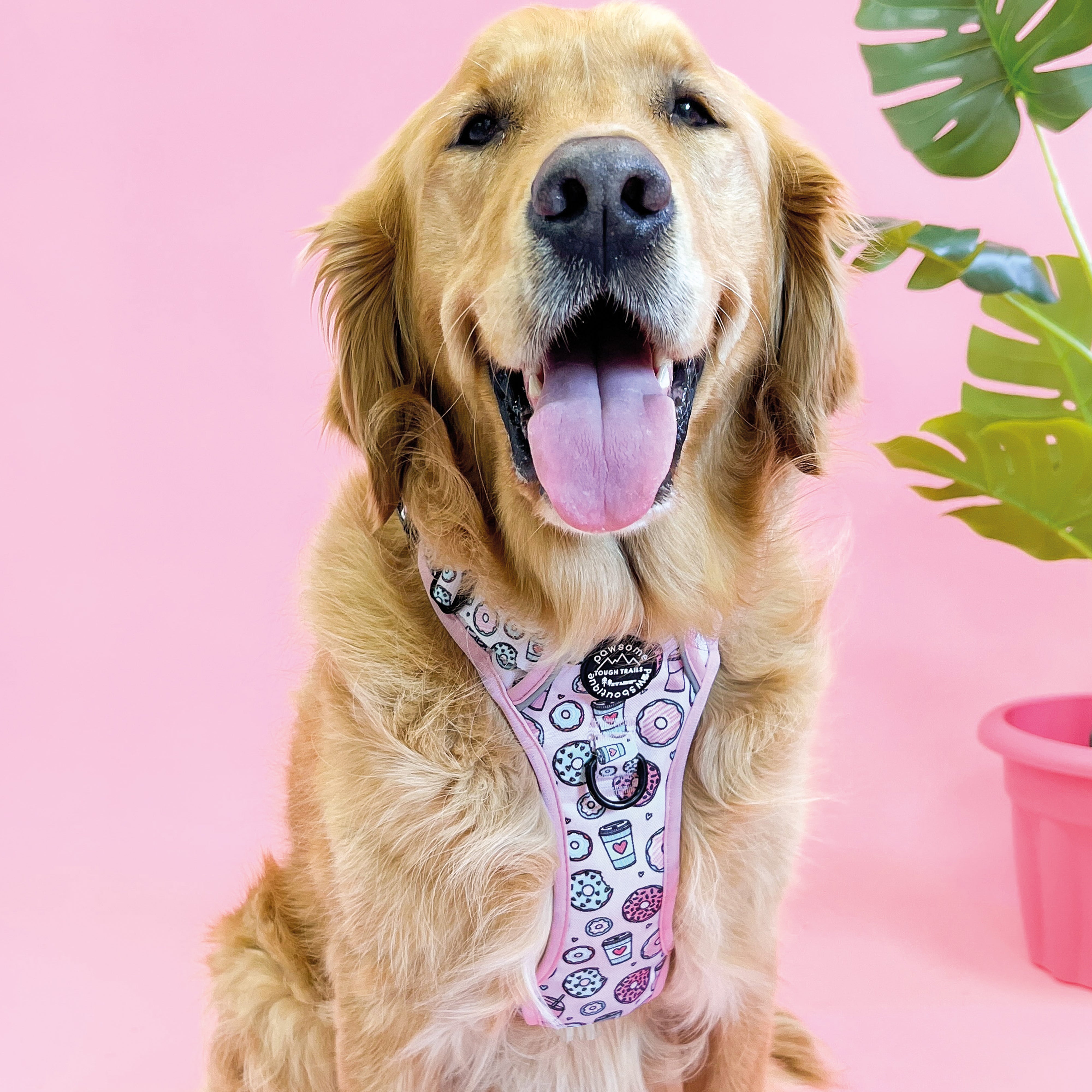 Sprinkles Adjustable Dog Harness MultiColoured