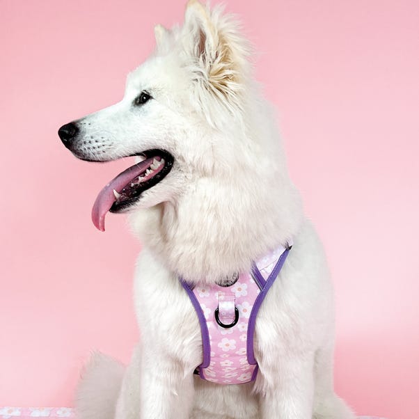 Pink Flowers Adjustable Dog Harness image 1 of 4