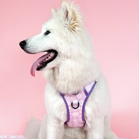 Pink Flowers Adjustable Dog Harness