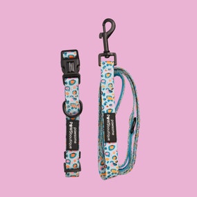 Blue Leopard Dog Collar and Lead Set