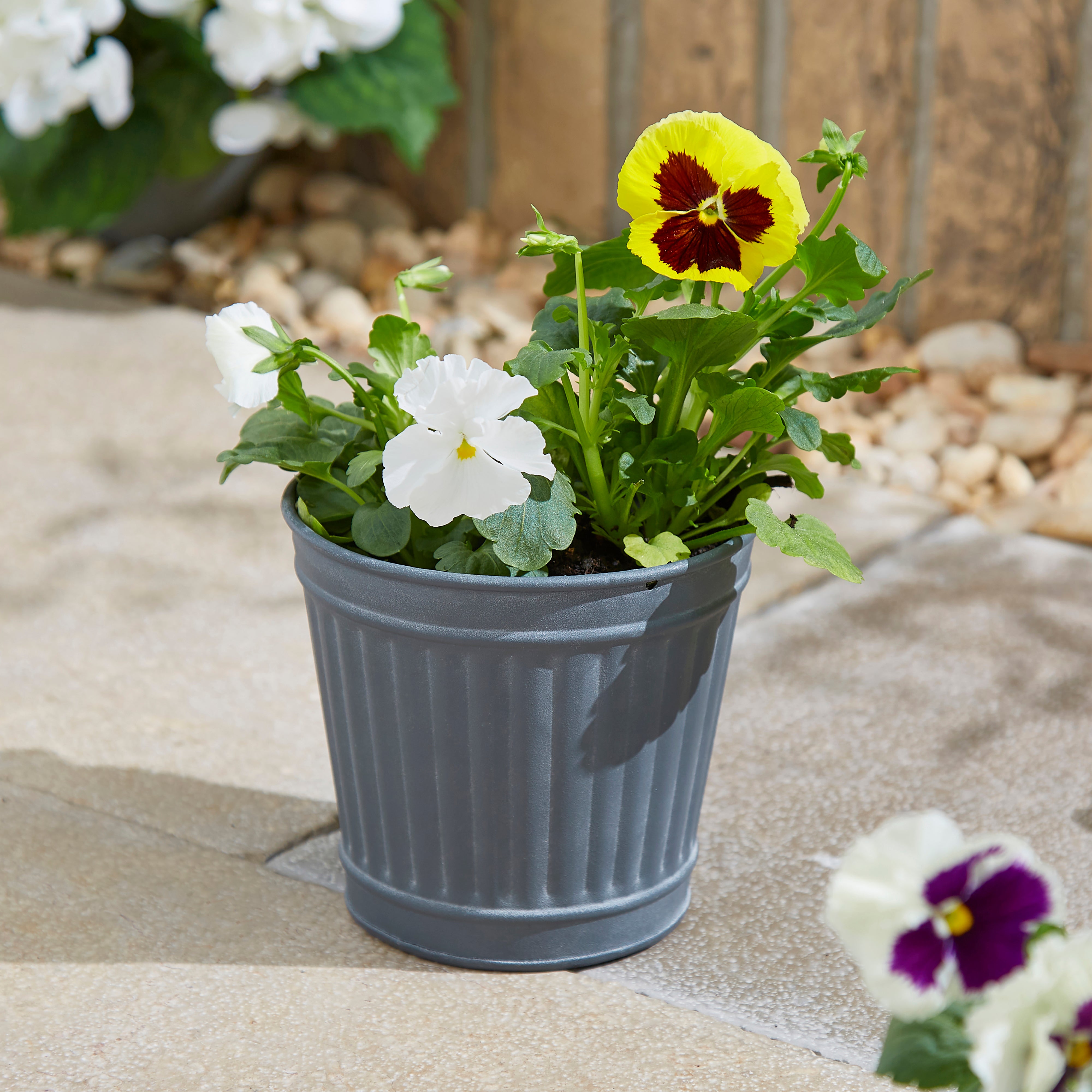 Small Metal Plant Pot Grey