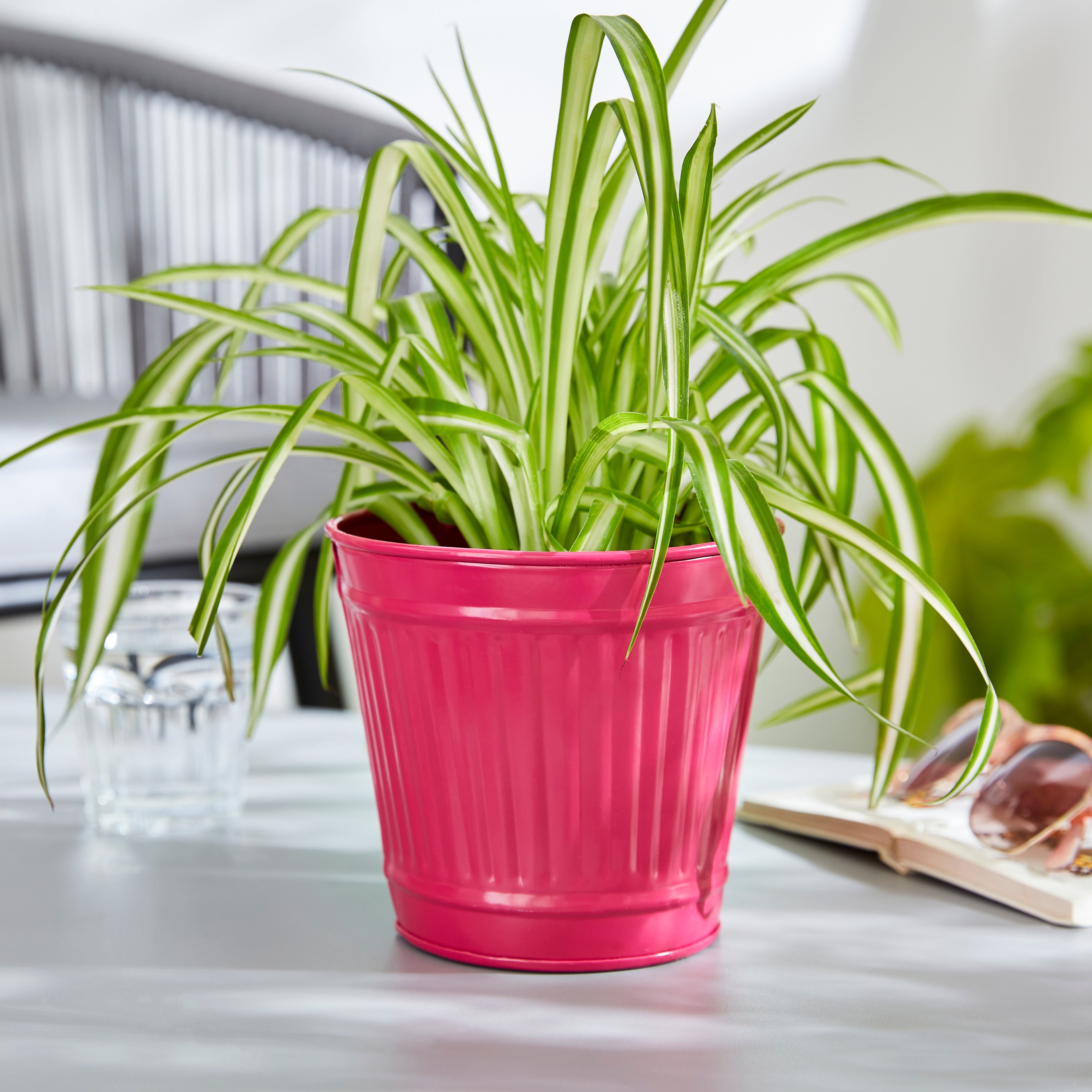 Small Metal Plant Pot Magenta