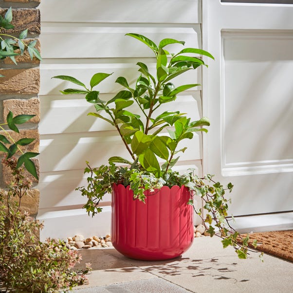 Scalloped Metal Plant Pot image 1 of 2