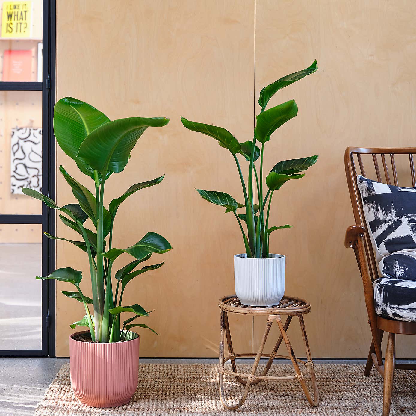 Carousel zoom image position 4 of 4