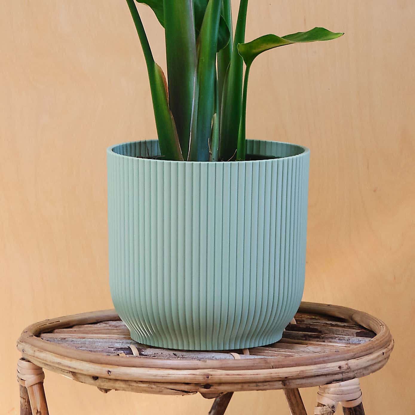 Carousel zoom image position 3 of 4