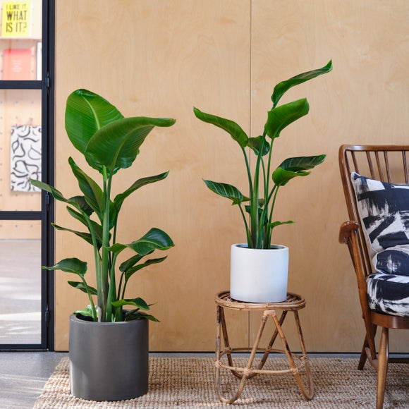 Carousel navigation image position 4 of 4