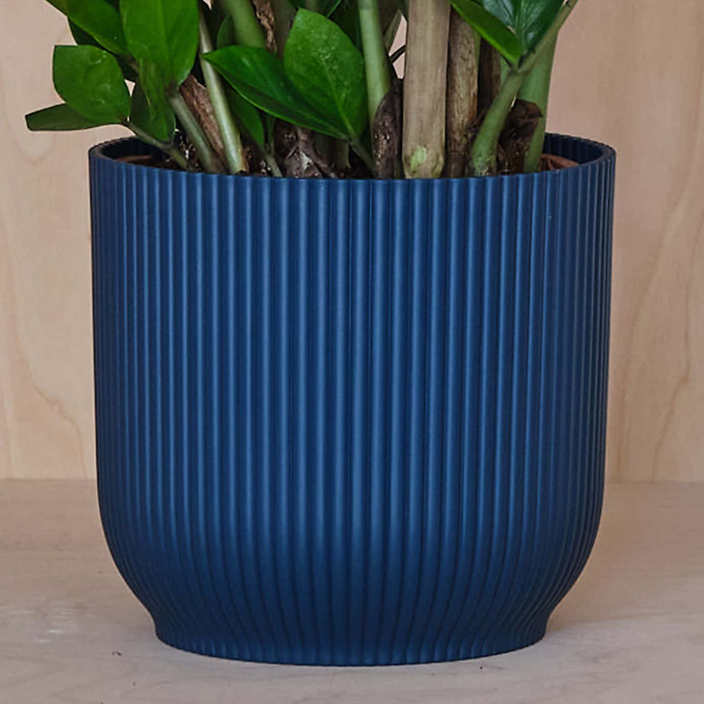 Carousel zoom image position 3 of 4