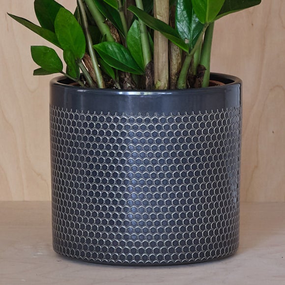 Carousel navigation image position 3 of 4