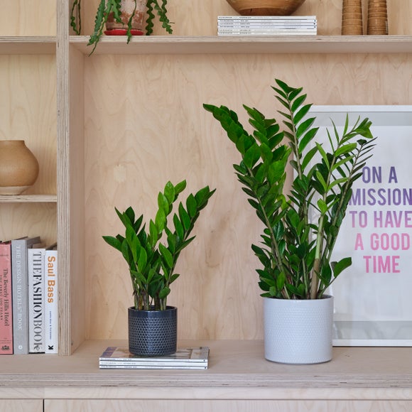 Carousel navigation image position 4 of 4