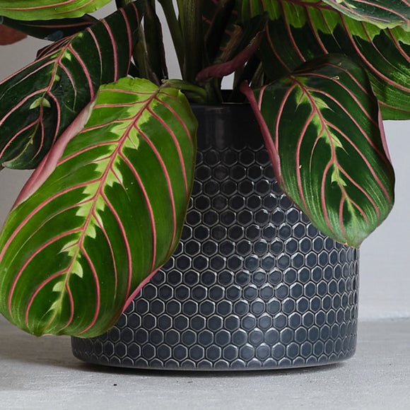 Carousel navigation image position 3 of 3