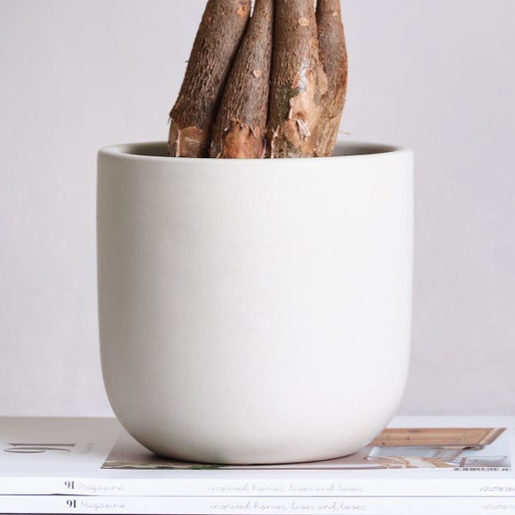 Carousel navigation image position 3 of 4