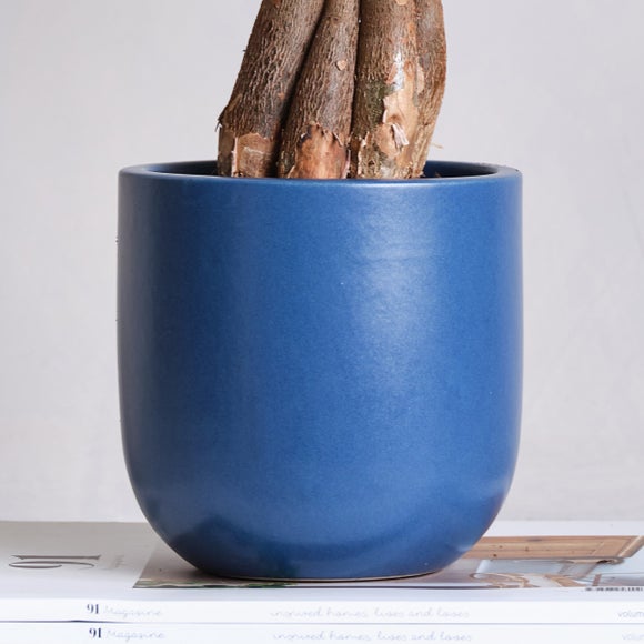 Carousel navigation image position 3 of 4