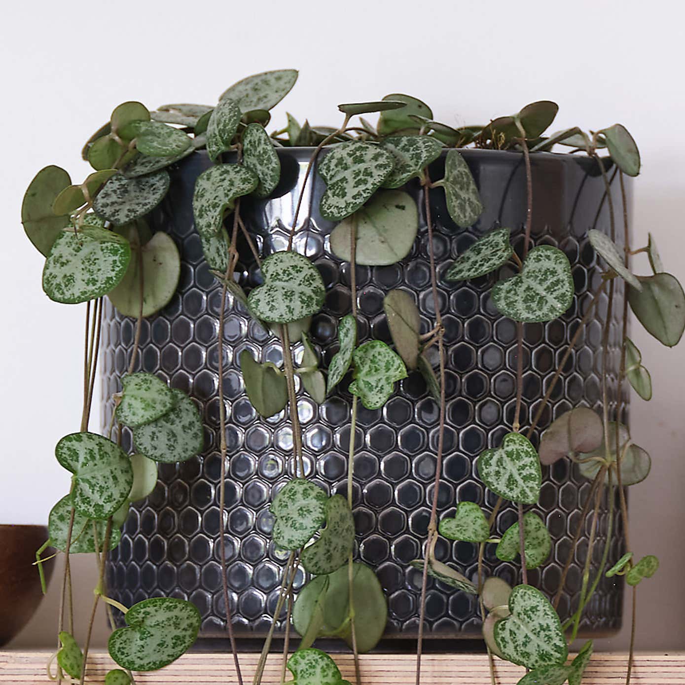 Carousel zoom image position 3 of 3