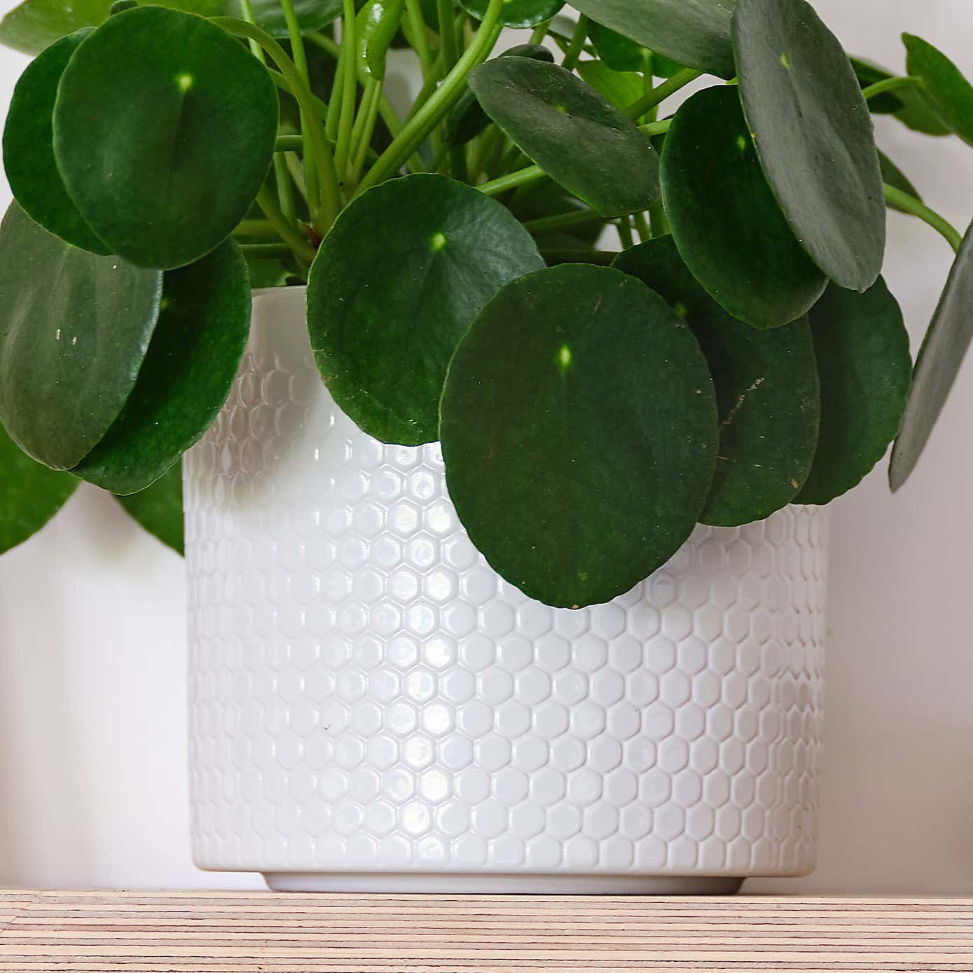 Carousel zoom image position 3 of 4