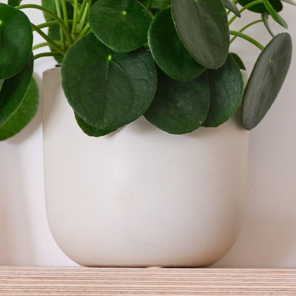 Carousel navigation image position 3 of 4