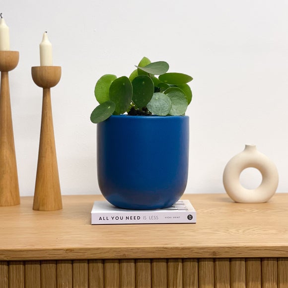 Carousel navigation image position 3 of 3