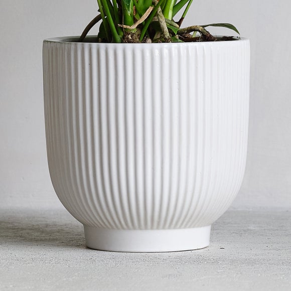 Carousel navigation image position 3 of 4