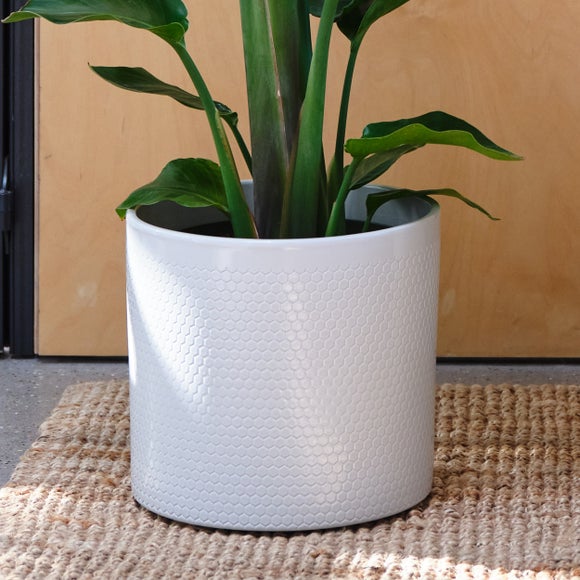 Carousel navigation image position 3 of 4