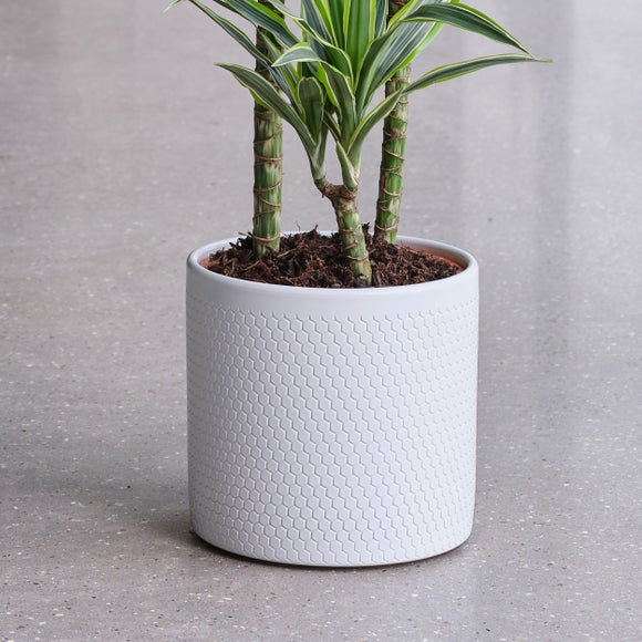 Carousel navigation image position 3 of 3