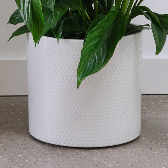 Carousel navigation image position 3 of 4