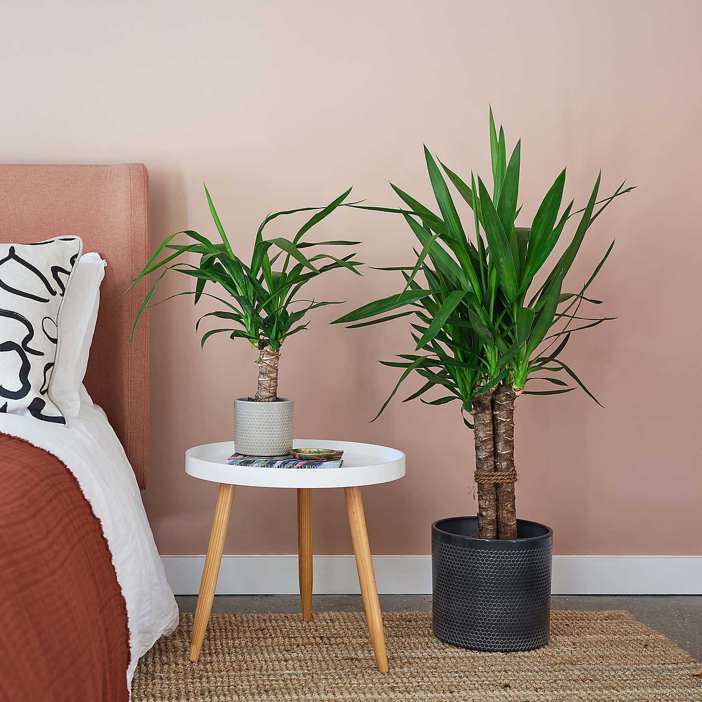 Carousel zoom image position 4 of 4