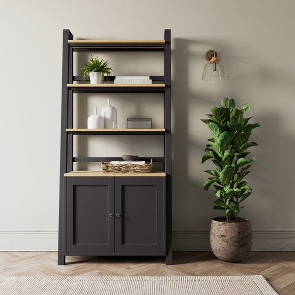 Ladder bookcase deals with cupboard