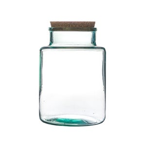 Bottle Shape Large Terrarium Diy Kit