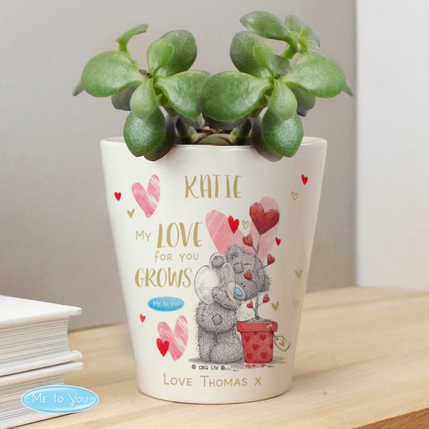 Personalised Me To You Hold You Forever Plant Pot image 1 of 3